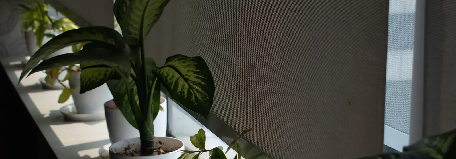 Lamas de una persiana veneciana junto a una planta en el alféizar, vista de una vivienda de Pamplona