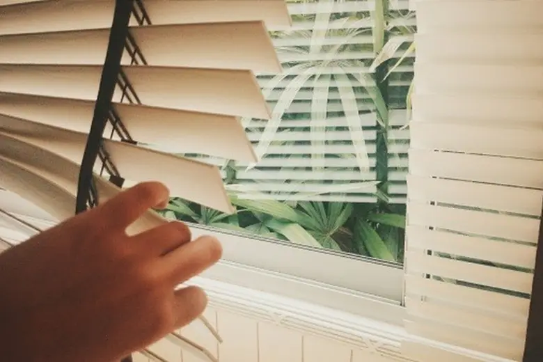 Mano ajustando las lamas de una persiana veneciana con vegetación al otro lado de la ventana